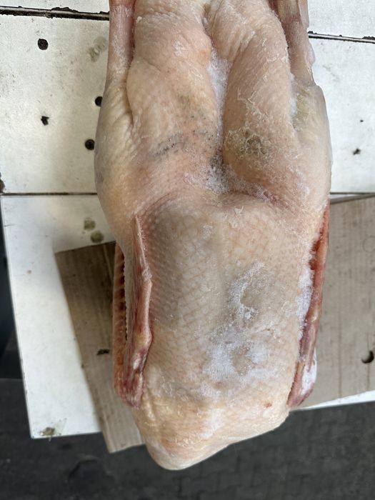 Продаю мясо гуся