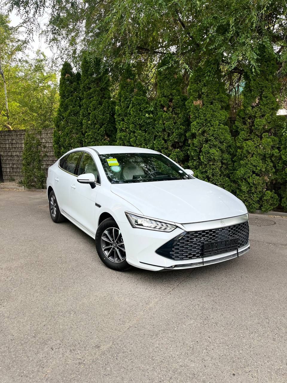 Byd qin plus (без пв)
