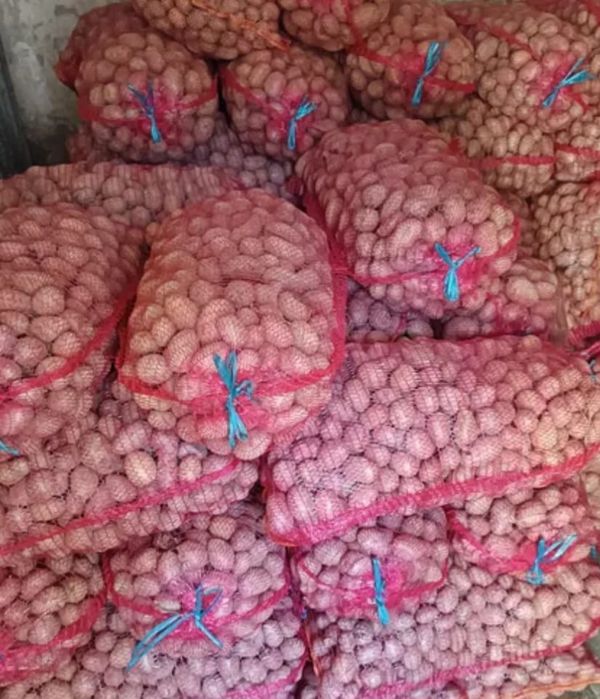 Vand cartof samanta Bellarossa