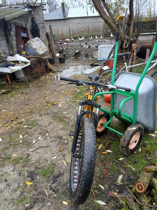 Vand bicicleta caraiman, specifica pentru munte
