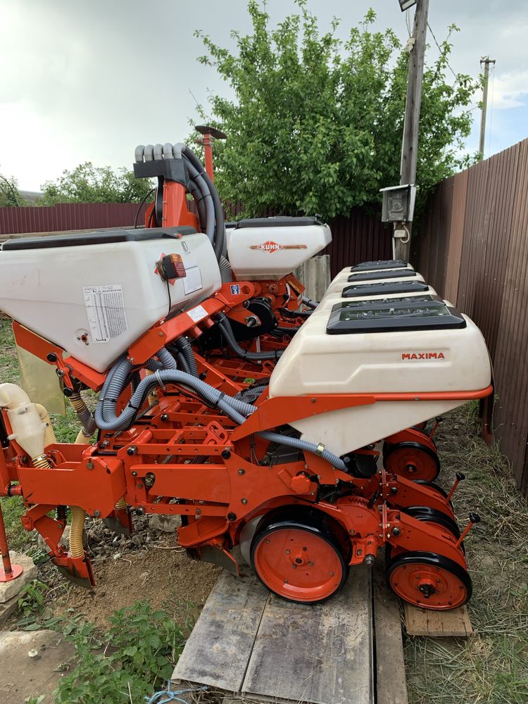Semanatoare Kuhn Maxima 2