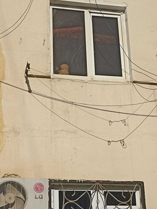 Продаётся 2х ком кв на 2 этаже Ориентир 5мик Ул А,Джомий Без посредред