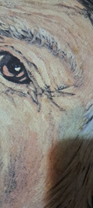 Pictură pe placaj !