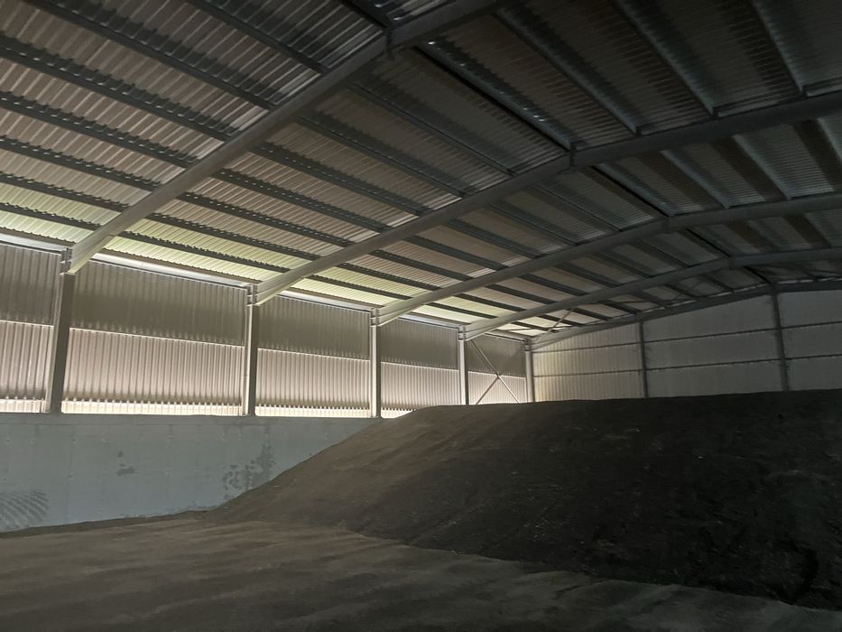 Слънчоглед реколта 2025