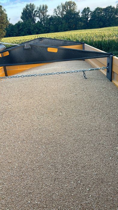 Vând grâu recolta 2025