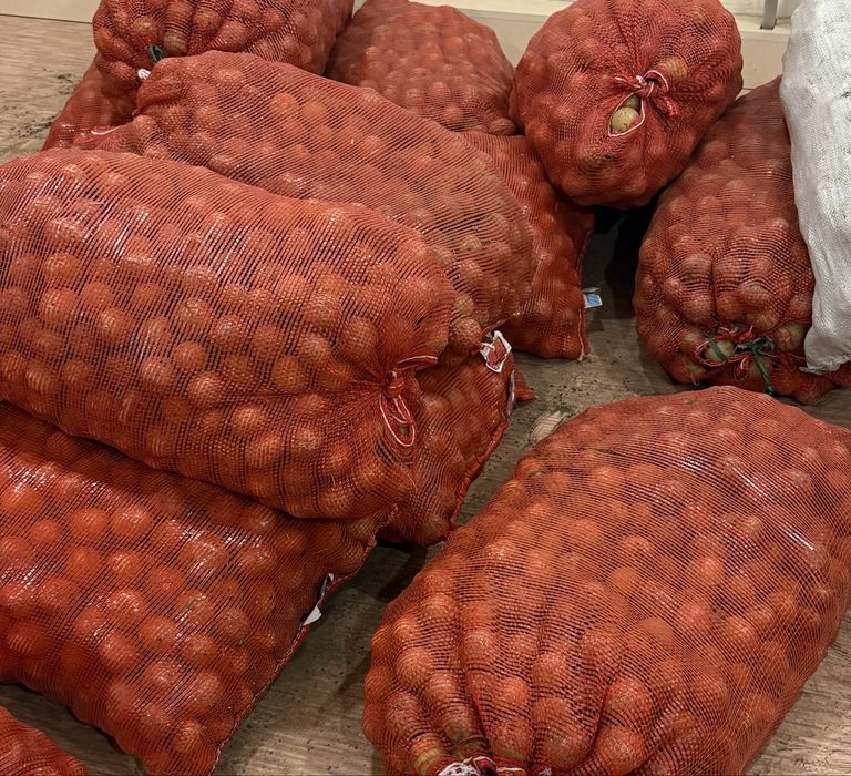 Картошка домашняя