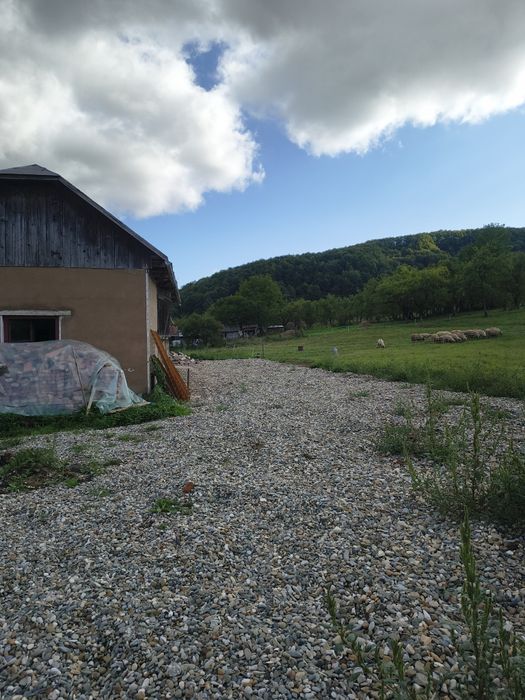 Casa la tara  fundatie pe teren 7700 mp cu Izvor debit foarte mare