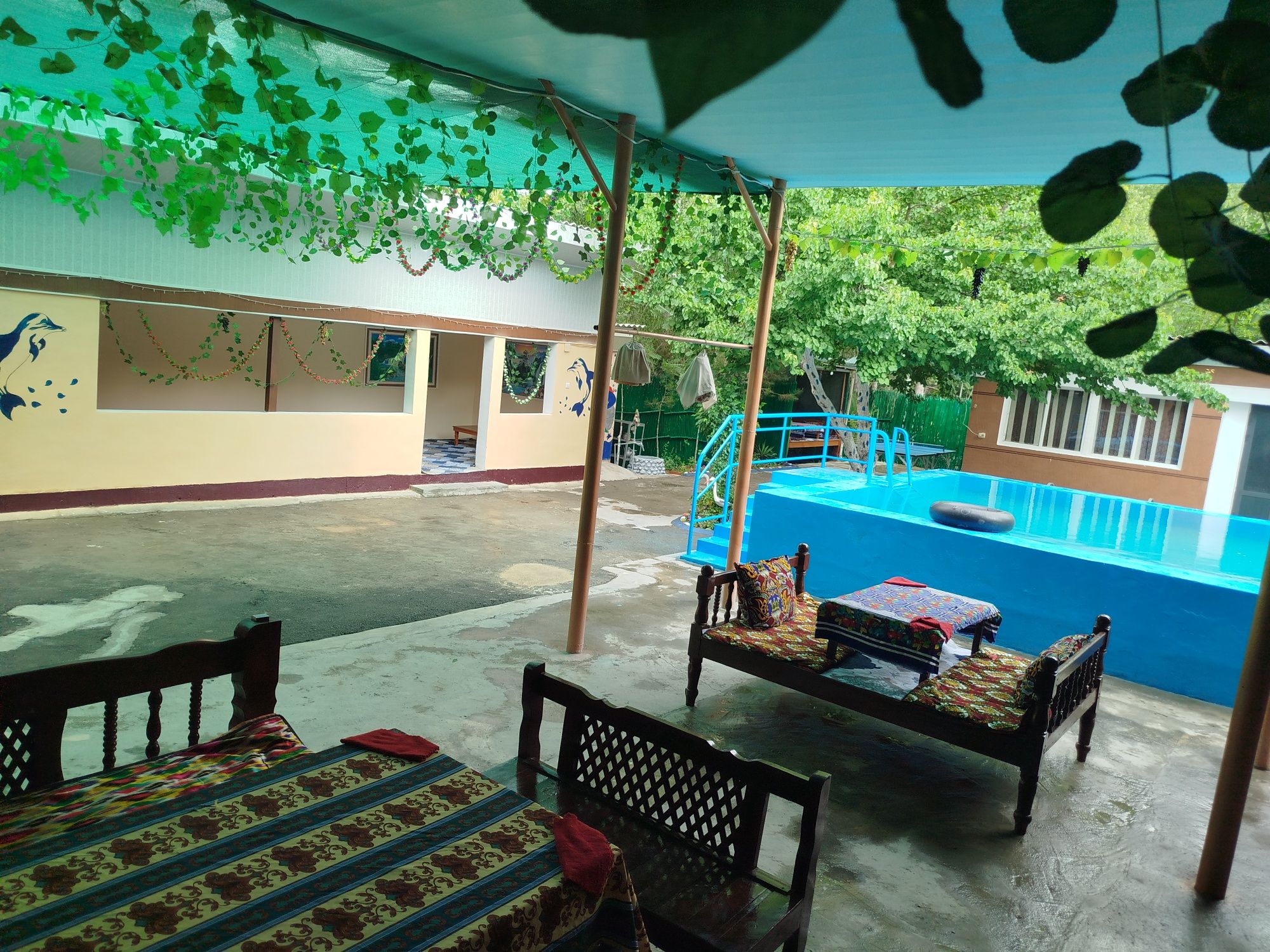 Dacha arendaga beriladi