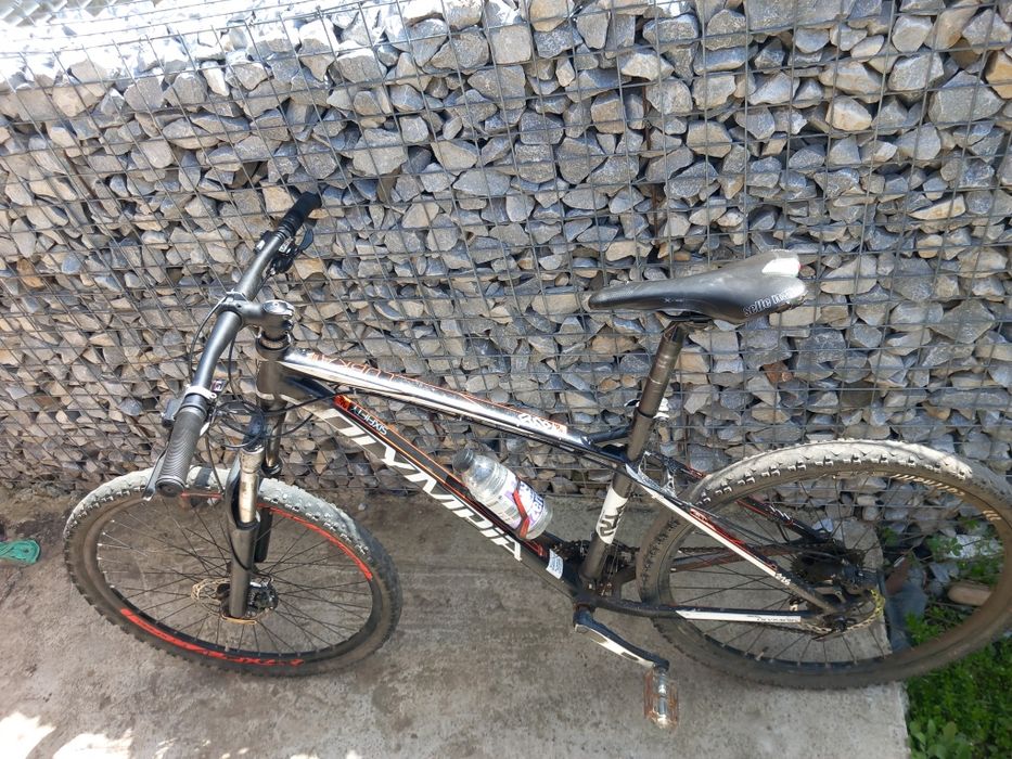 Cobra Olimpia (plata doar la ramburs)