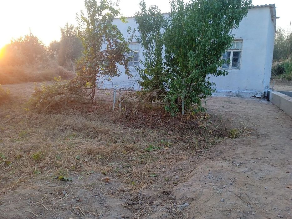 Srochni yer sotiladi,14 sutq,2 xona uy,80 ta bodomzor,:manzil:termiz t