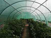 SOLAR-Sera Tunel DE GRADINA 4x4/4x6/4x8/4x10/4x12/4x14/4x16m ab