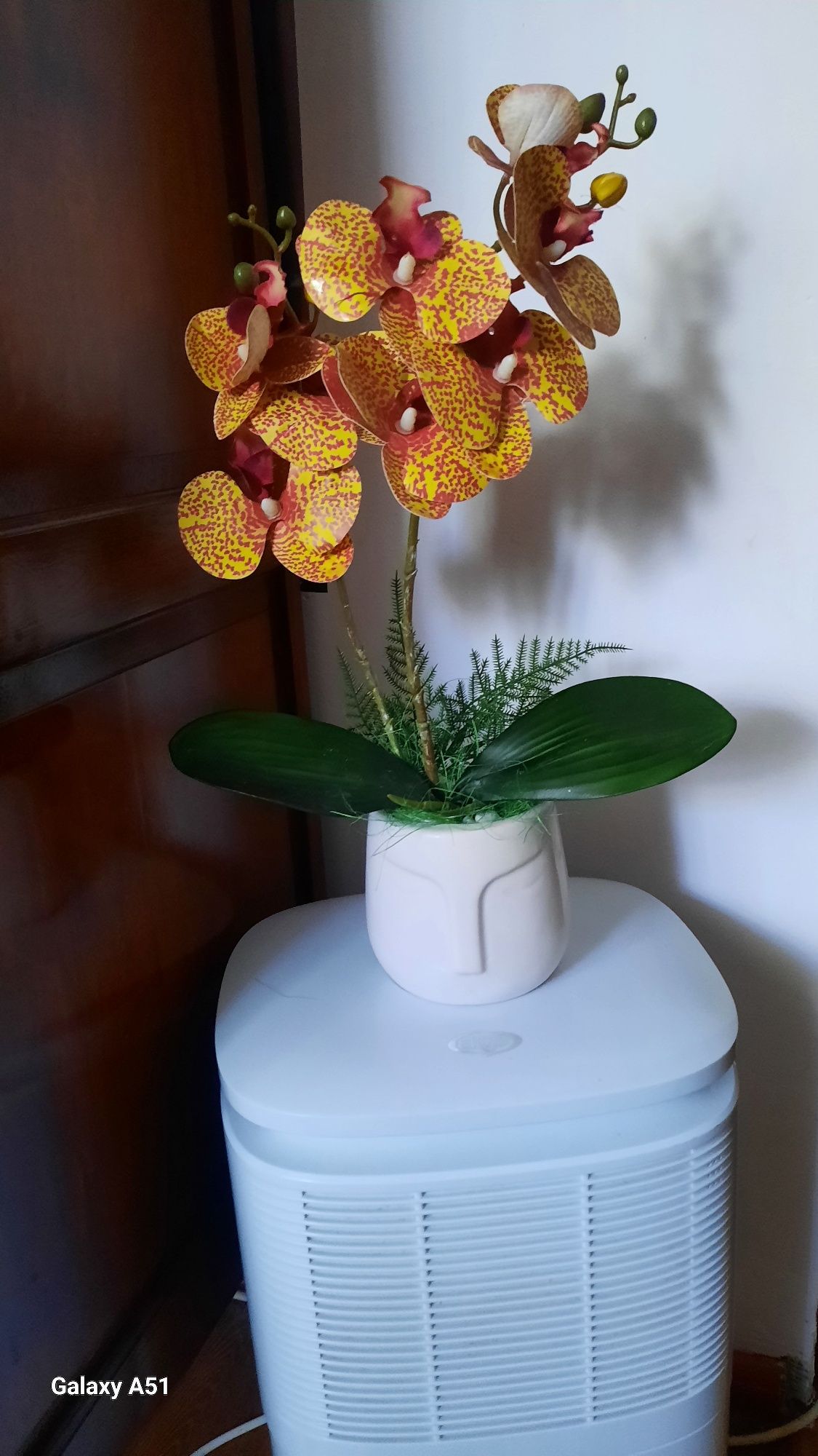 Orhidee de silicon