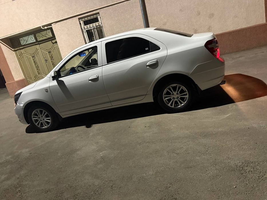 Cobalt 2024 yil oq proveg 40550