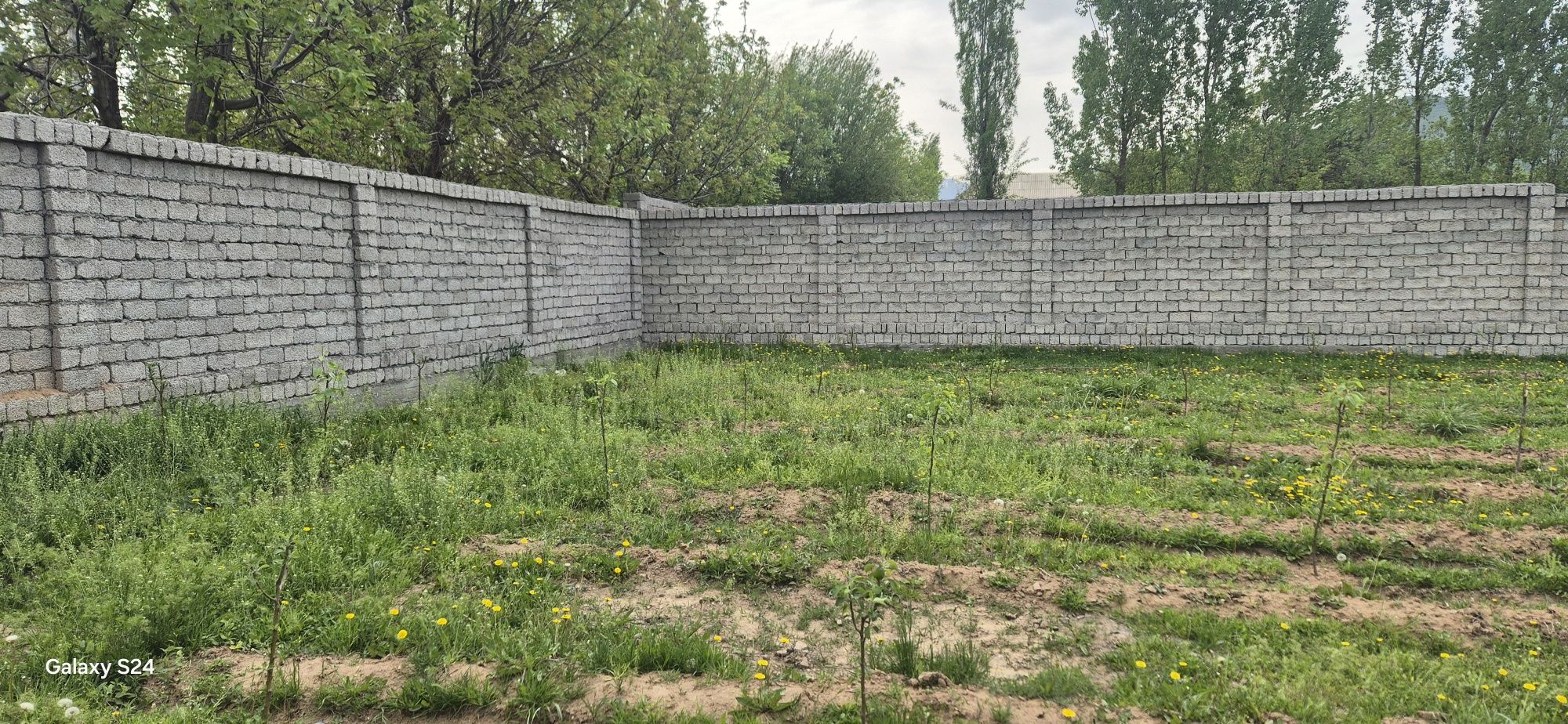 Дача учун ер учаскаси сотилади