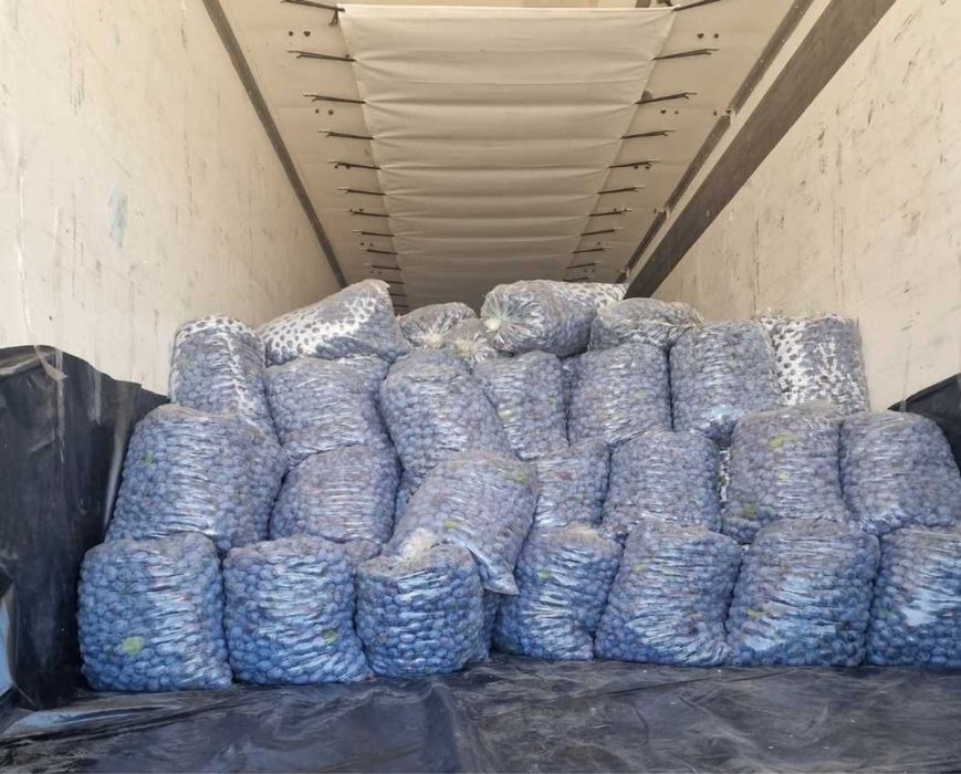 Prune de tuica palinca de vanzare