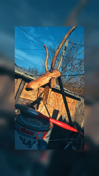 Vănd capre de anu nou