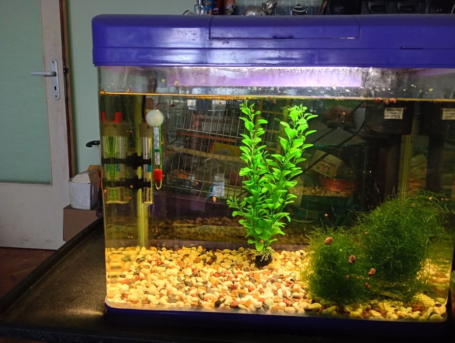 Аквариум за риби