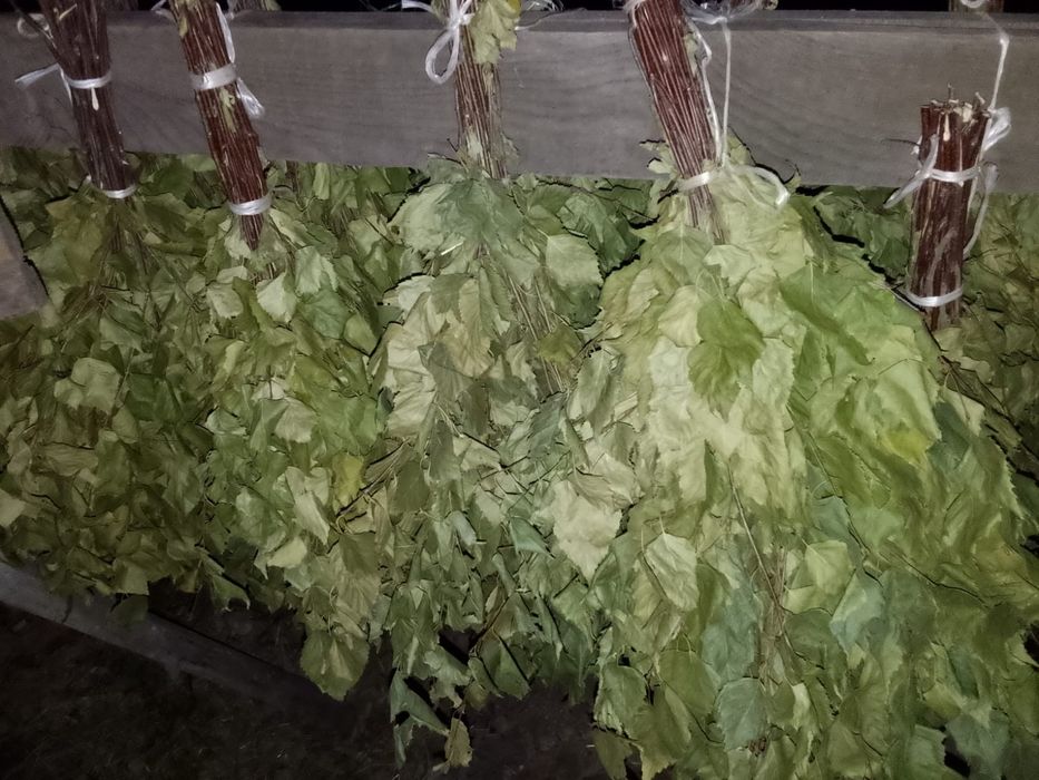 Веник для бани .