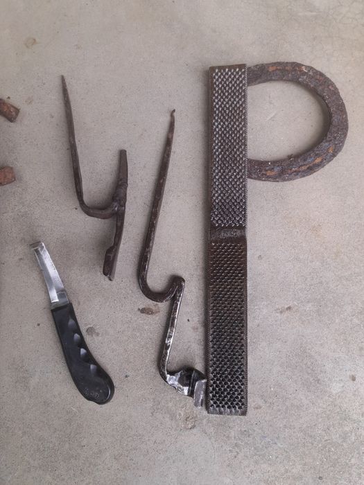 Scule / rașpel copite cai