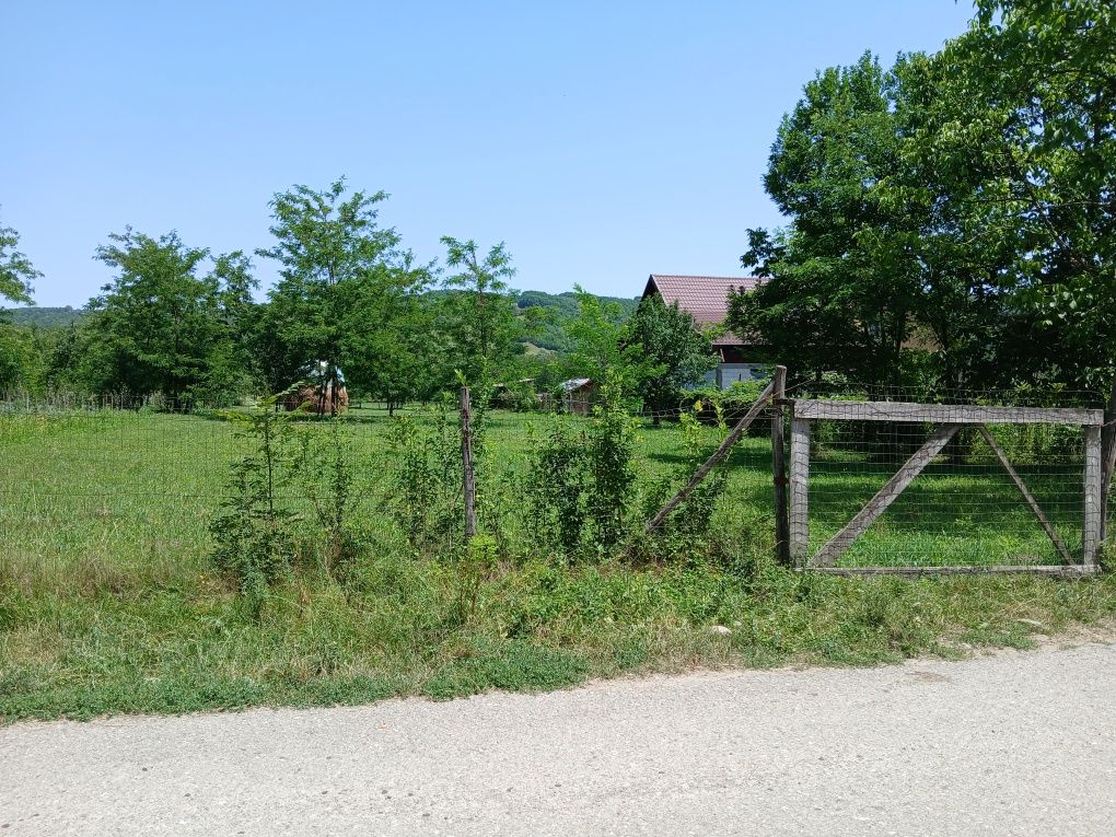 Vând teren la stradă
