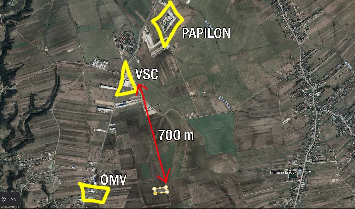 10.000 m,  ALBOTA - Drumul Bradului - La Gioroc