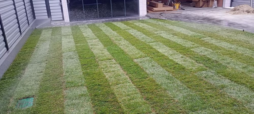 Amenajare si intretinere spatii verzi