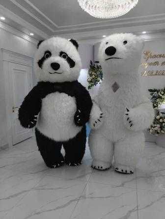 Поздравления от Мишки/Панда/Аниматор/Праздники/Дни Рождения/Выписки