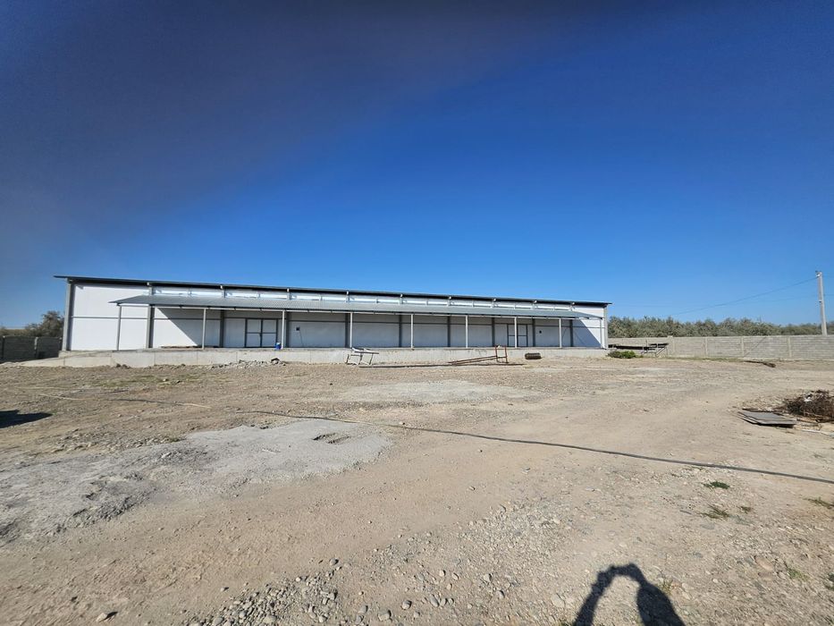 Склад, холодильные камеры общей площадью 1000м², высота потолков