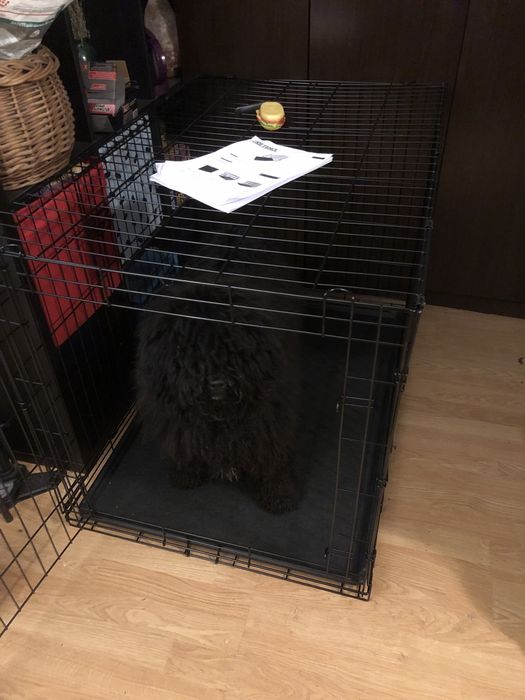 Cușcă transport câine