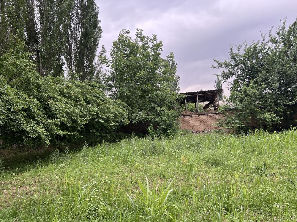 Yer sotiladi Toshkent viloyati Yuqori chirchiq tumani Yangibozor