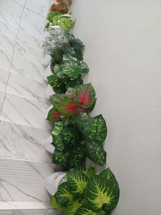 Суний гуллар. Искусственные цветы и деревья. 100.000