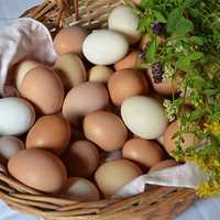 Яйца Домашние Вкусные
