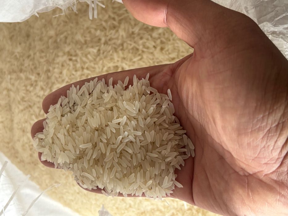 Озик овкат махсулотлари