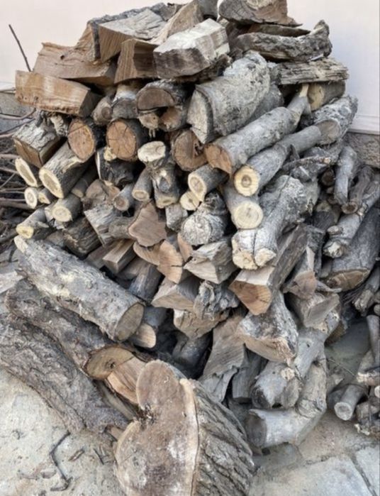 Ўтин,Утин, мевали дарахтники курук