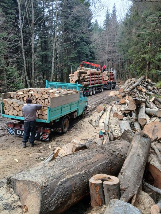 Transport lemn de foc esenta tare