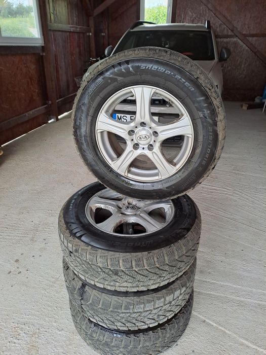 Vind roti de iarna a fost folosit  o iarna.8