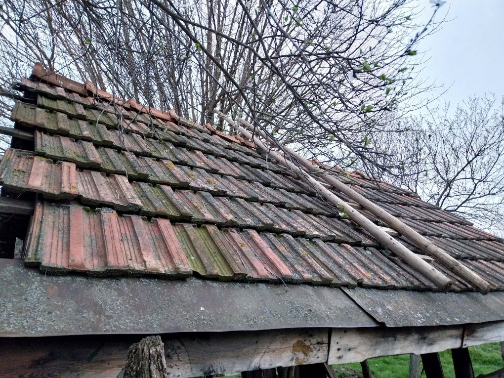 Țiglă ceramica intrega ,fără spărturi.