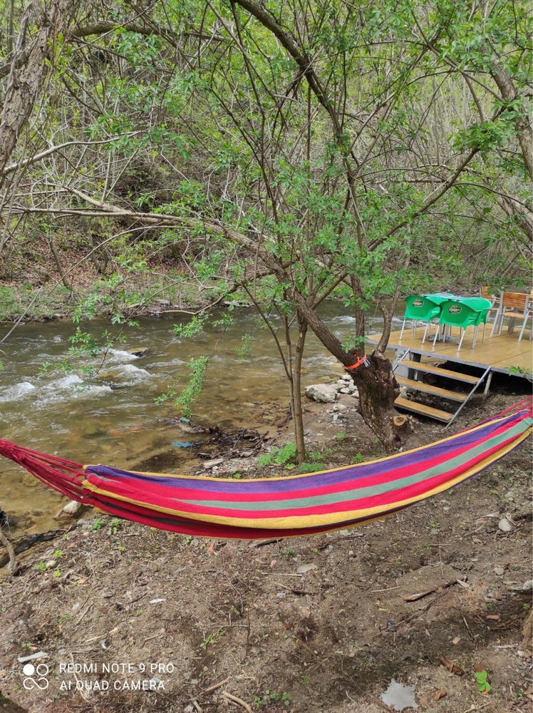 Cabana de închiriat Cabana Carisa Baisoara !