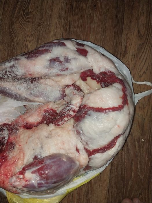 Продам лечебное барсучье мясо