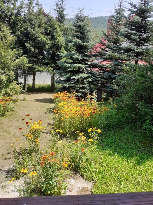 Vand cabana in statiunea Cheia