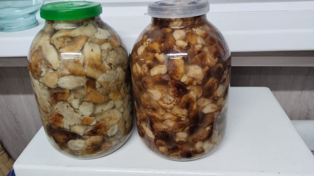 Грибы валуи соленые