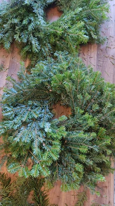 Coronițe din brad natural.! Doar Engros !