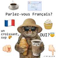 Французский Язык для Начинающих Онлайн