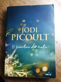 Roman "O scânteie de viață", Jodi Picoult