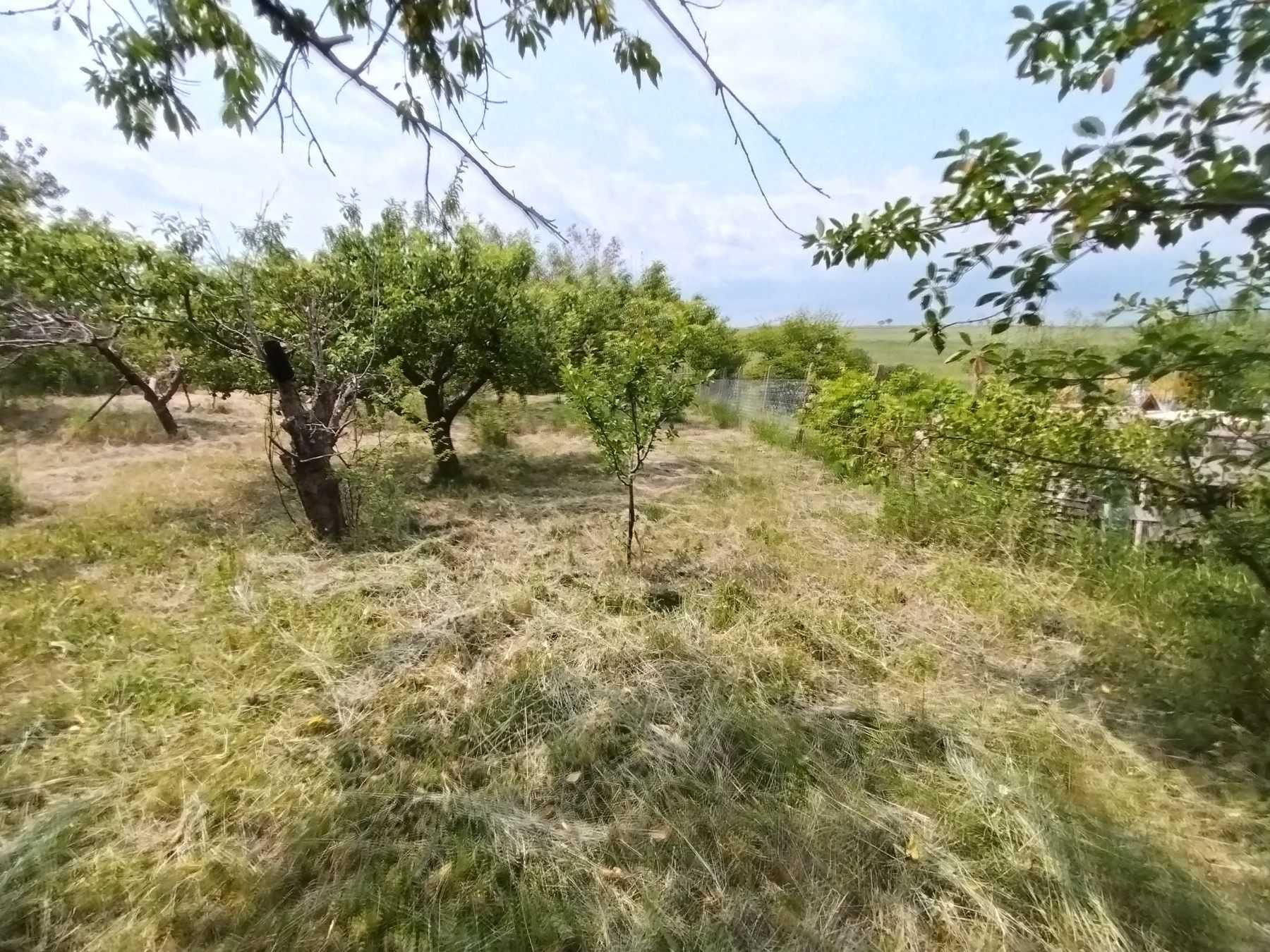 Парцел вилна зона с.Осеново/Аксаковска общ./