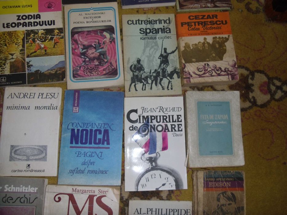 Raftul cu carti ,diverse