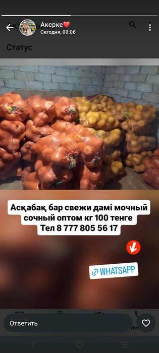 Аскабак бар кг 100