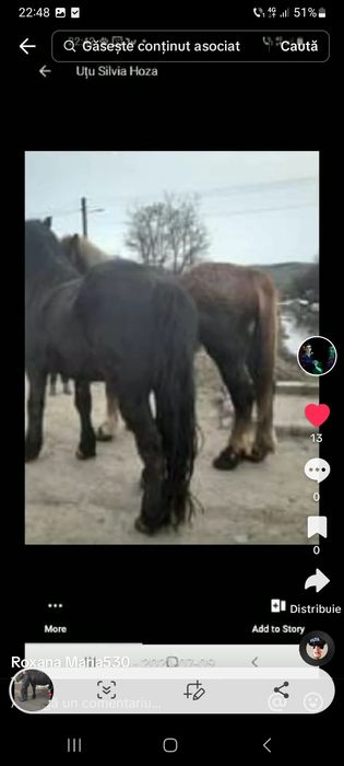 Cine are calu sa ma sune