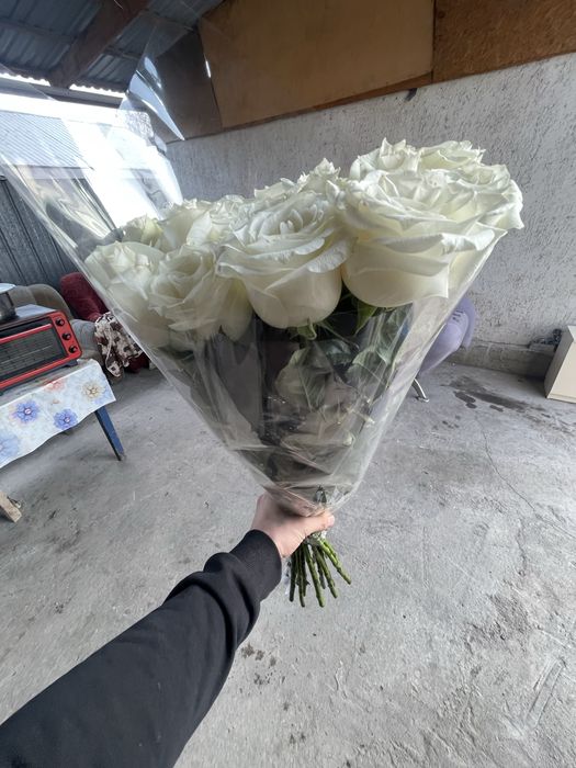 Цветы Свежие не цветочный магазин звоните