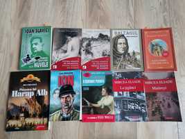 Cărți română pentru Examenul de Bacalaureat
